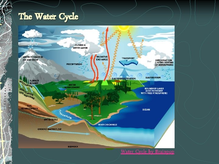 The Water Cycle by Brainpop 