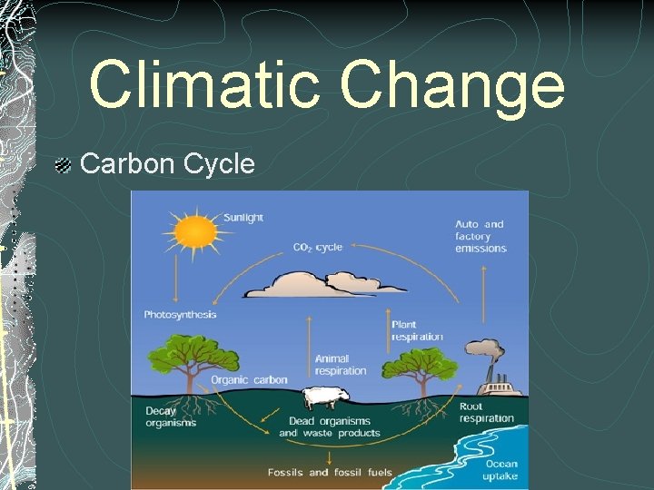 Climatic Change Carbon Cycle 