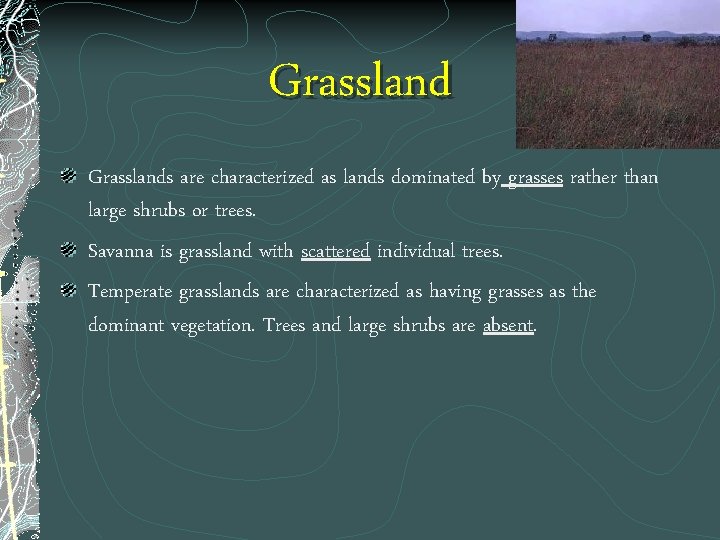 Grasslands are characterized as lands dominated by grasses rather than large shrubs or trees.