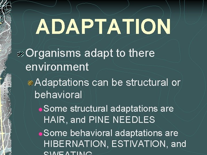 ADAPTATION Organisms adapt to there environment Adaptations can be structural or behavioral Some structural