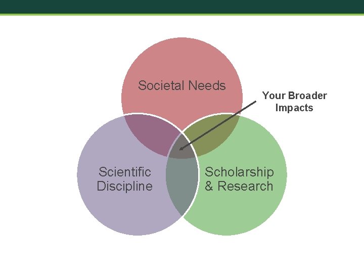 Societal Needs Scientific Discipline Your Broader Impacts Scholarship & Research 