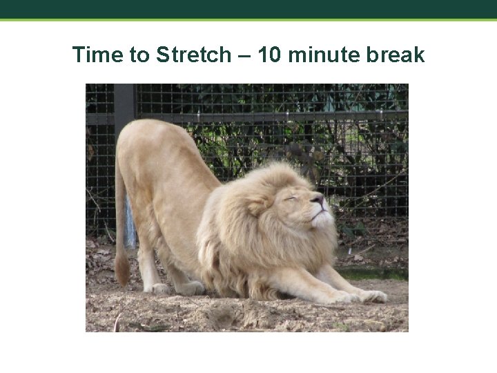 Time to Stretch – 10 minute break 