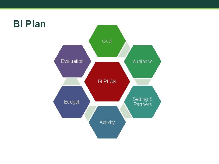 BI Plan Goal Evaluation Audience BI PLAN Setting & Partners Budget Activity 