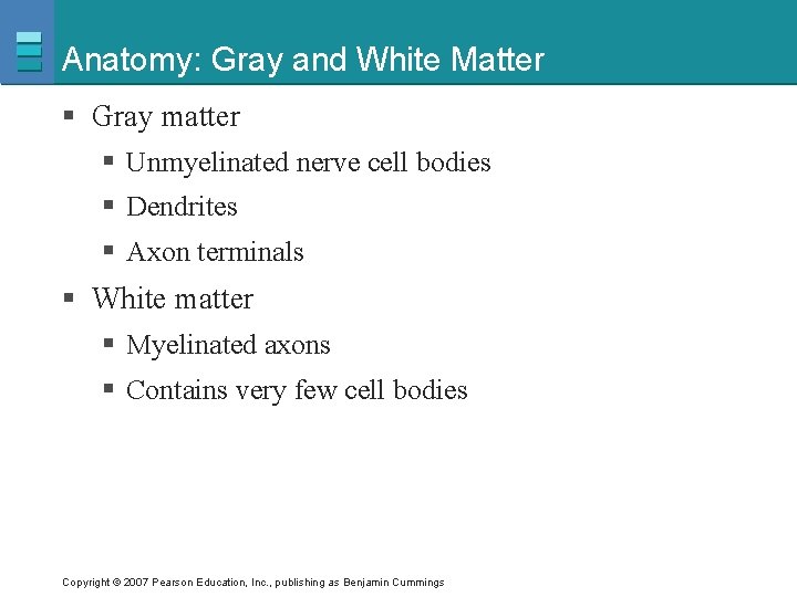 Anatomy: Gray and White Matter § Gray matter § Unmyelinated nerve cell bodies §
