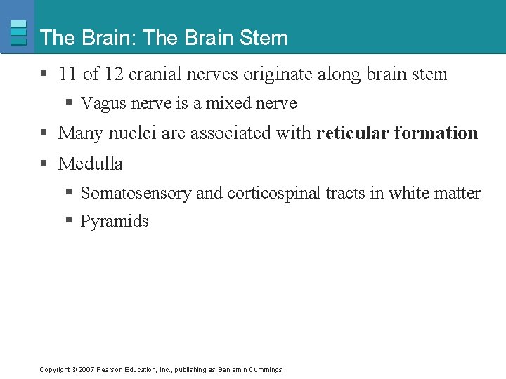 The Brain: The Brain Stem § 11 of 12 cranial nerves originate along brain