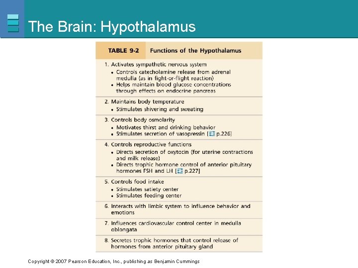 The Brain: Hypothalamus Copyright © 2007 Pearson Education, Inc. , publishing as Benjamin Cummings