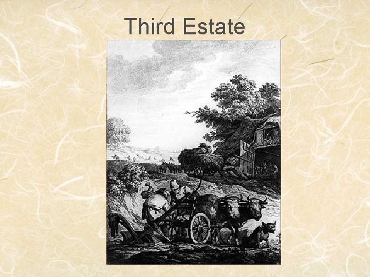 Third Estate 