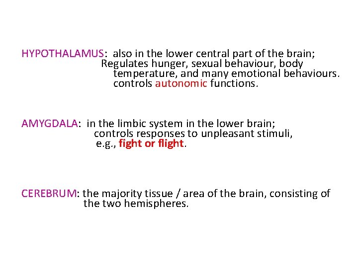 HYPOTHALAMUS: also in the lower central part of the brain; Regulates hunger, sexual behaviour,