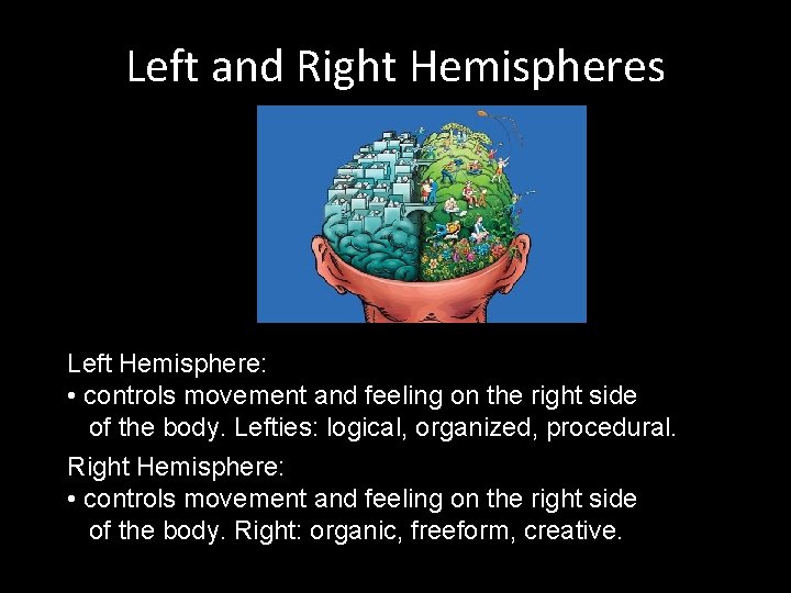 Left and Right Hemispheres Left Hemisphere: • controls movement and feeling on the right