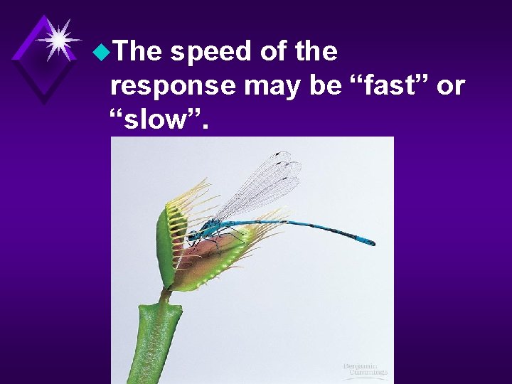 u. The speed of the response may be “fast” or “slow”. 