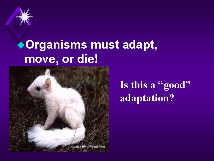 u. Organisms must adapt, move, or die! Is this a “good” adaptation? 