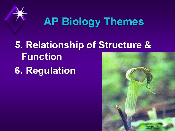 AP Biology Themes 5. Relationship of Structure & Function 6. Regulation 