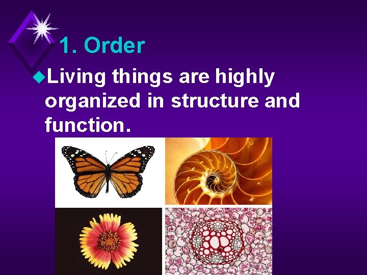 1. Order u. Living things are highly organized in structure and function. 