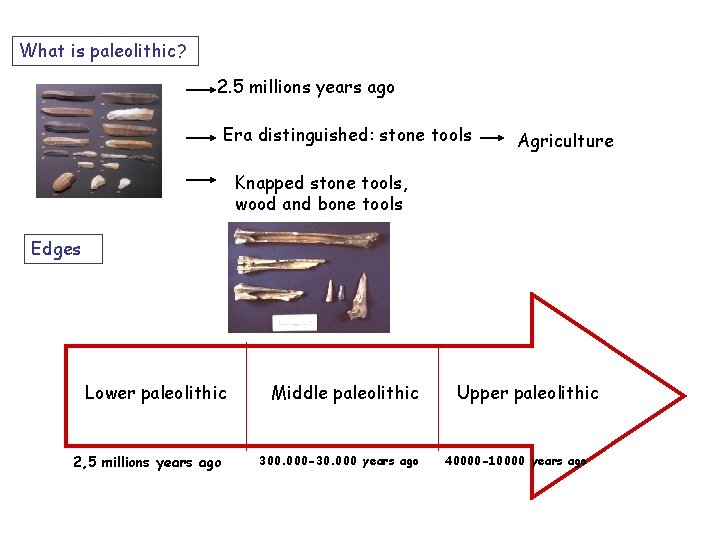 What is paleolithic? 2. 5 millions years ago Era distinguished: stone tools Agriculture Knapped
