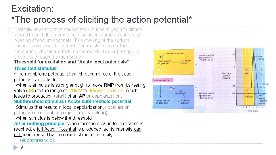 Excitation: *The process of eliciting the action potential* � Basically any factor that causes