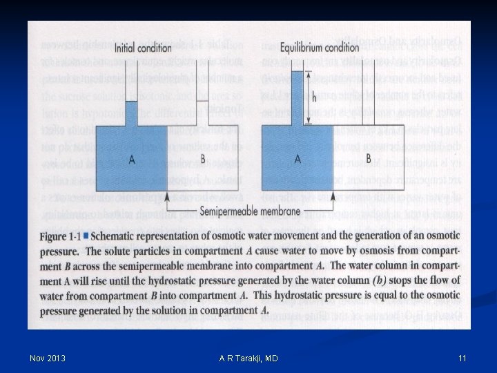 Nov 2013 A R Tarakji, MD 11 
