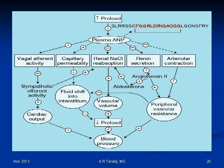 Nov 2013 A R Tarakji, MD 20 