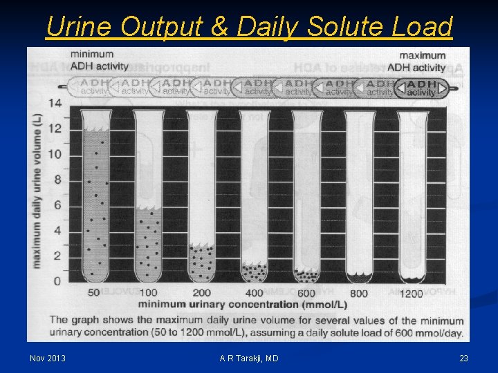 Urine Output & Daily Solute Load Nov 2013 A R Tarakji, MD 23 