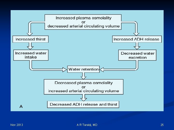Nov 2013 A R Tarakji, MD 25 