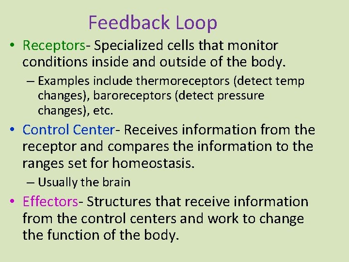 Feedback Loop • Receptors- Specialized cells that monitor conditions inside and outside of the