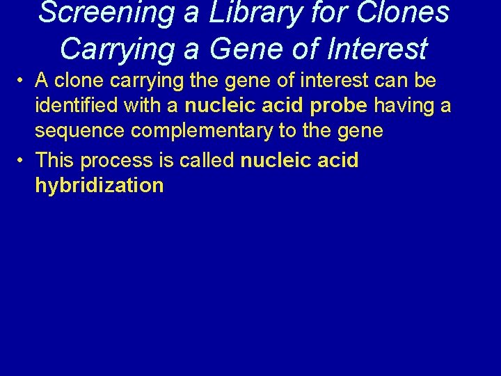 Screening a Library for Clones Carrying a Gene of Interest • A clone carrying