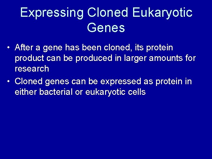 Expressing Cloned Eukaryotic Genes • After a gene has been cloned, its protein product
