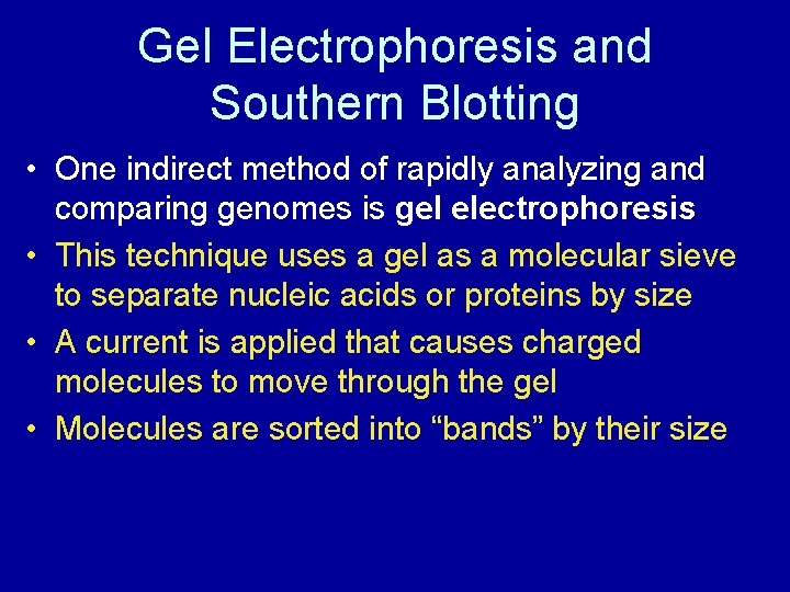 Gel Electrophoresis and Southern Blotting • One indirect method of rapidly analyzing and comparing