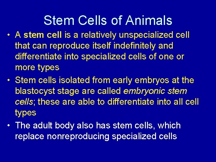 Stem Cells of Animals • A stem cell is a relatively unspecialized cell that