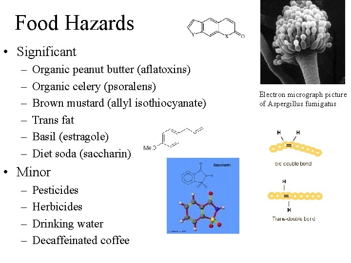 Food Hazards • Significant – – – Organic peanut butter (aflatoxins) Organic celery (psoralens)