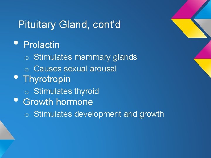 Pituitary Gland, cont'd • Prolactin o Stimulates mammary glands o Causes sexual arousal •