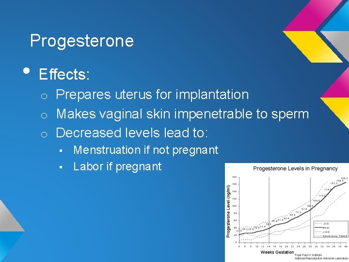 Progesterone • Effects: o Prepares uterus for implantation o Makes vaginal skin impenetrable to