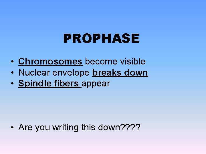 PROPHASE • Chromosomes become visible • Nuclear envelope breaks down • Spindle fibers appear