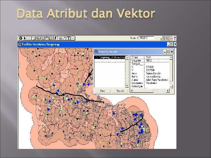 Data Atribut dan Vektor 