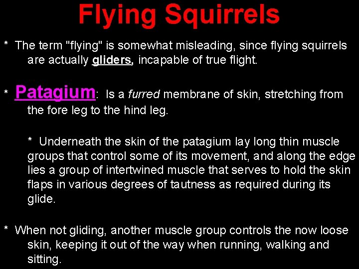 Flying Squirrels * The term "flying" is somewhat misleading, since flying squirrels are actually