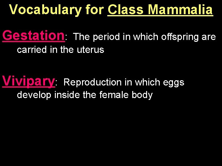 Vocabulary for Class Mammalia Gestation: The period in which offspring are carried in the