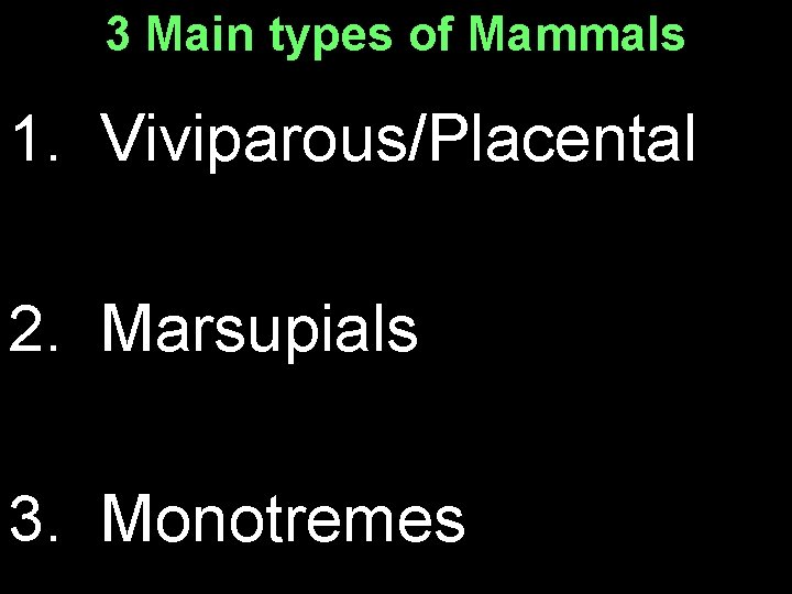 3 Main types of Mammals 1. Viviparous/Placental 2. Marsupials 3. Monotremes 