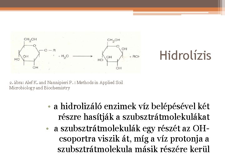 Hidrolízis 2. ábra: Alef K. and Nannipieri P. : Methods in Applied Soil Microbiology