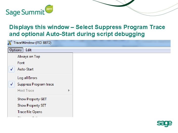 Displays this window – Select Suppress Program Trace and optional Auto-Start during script debugging