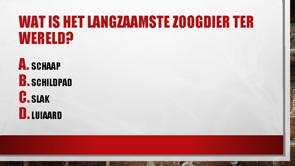 WAT IS HET LANGZAAMSTE ZOOGDIER TER WERELD? A. SCHAAP B. SCHILDPAD C. SLAK D.