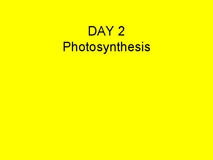 DAY 2 Photosynthesis 