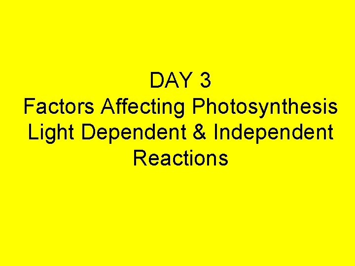 DAY 3 Factors Affecting Photosynthesis Light Dependent & Independent Reactions 