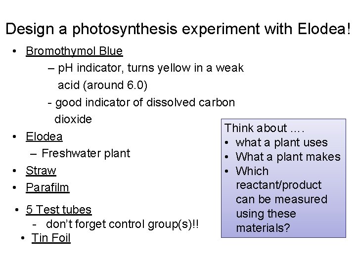 Design a photosynthesis experiment with Elodea! • Bromothymol Blue – p. H indicator, turns