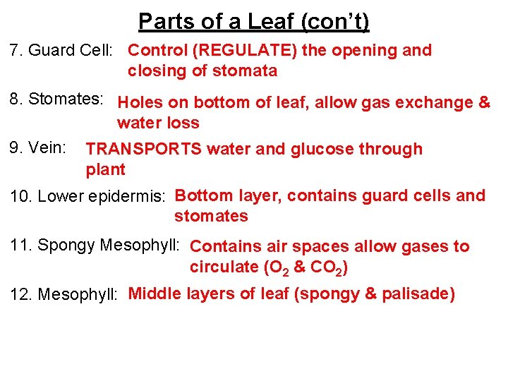 Parts of a Leaf (con’t) 7. Guard Cell: Control (REGULATE) the opening and closing