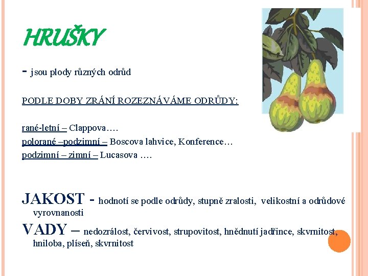 HRUŠKY - jsou plody různých odrůd PODLE DOBY ZRÁNÍ ROZEZNÁVÁME ODRŮDY: rané-letní – Clappova….