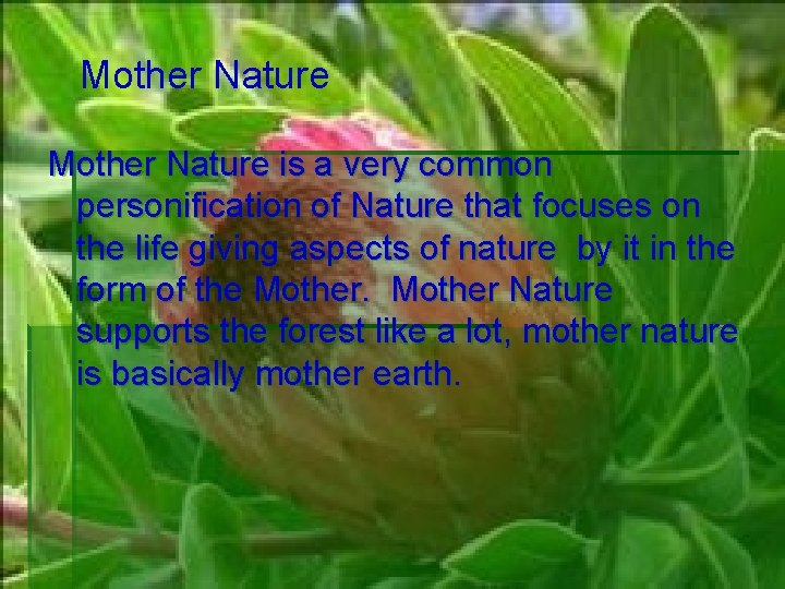 Mother Nature is a very common personification of Nature that focuses on the life