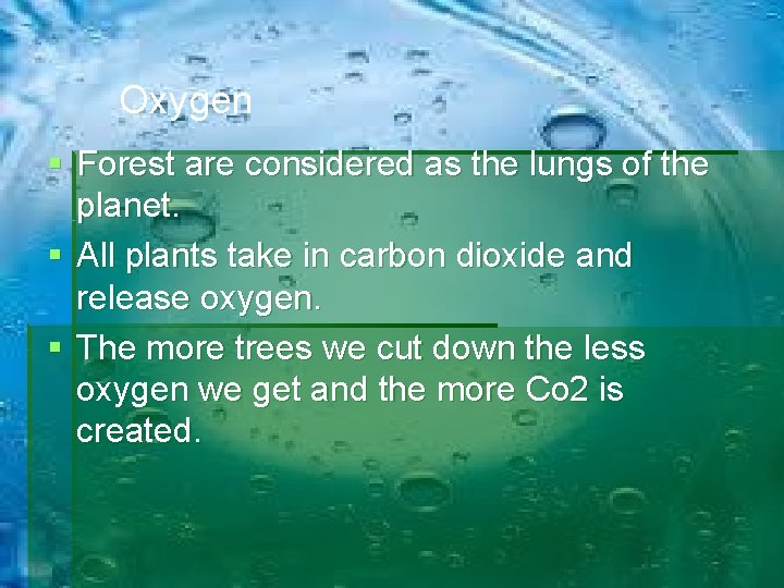 Oxygen Forest are considered as the lungs of the planet. All plants take in