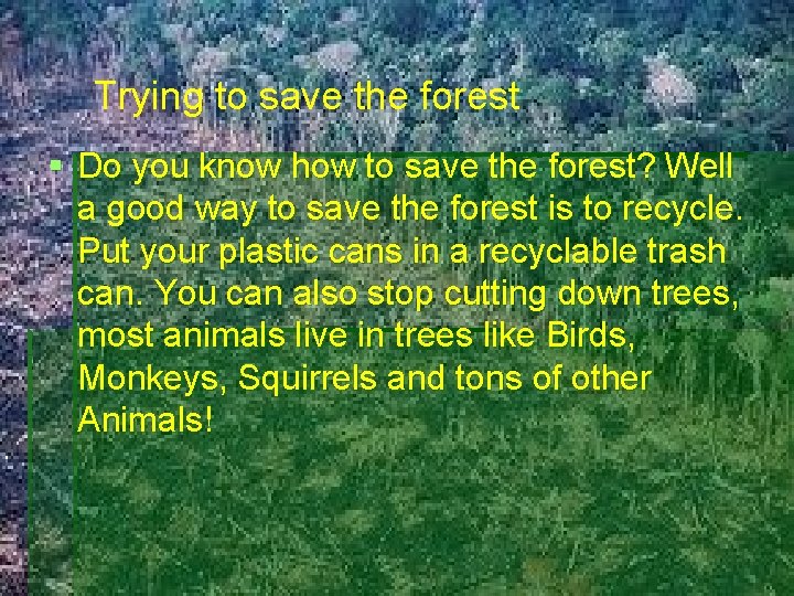 Trying to save the forest Do you know how to save the forest? Well
