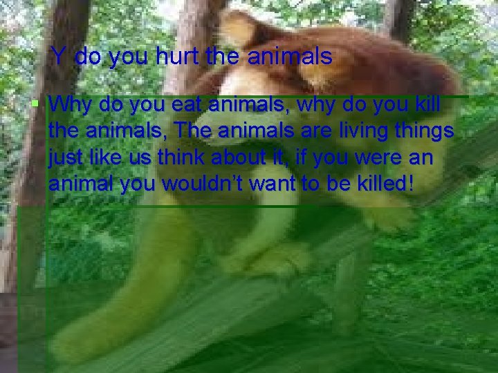 Y do you hurt the animals Why do you eat animals, why do you
