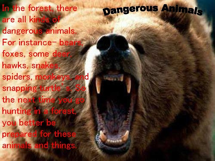 In the forest, there all kinds. Deadly of dangerous animals. For instance- bears, foxes,