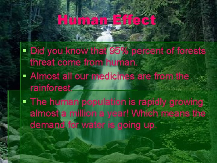 Human Effect Did you know that 95% percent of forests threat come from human.